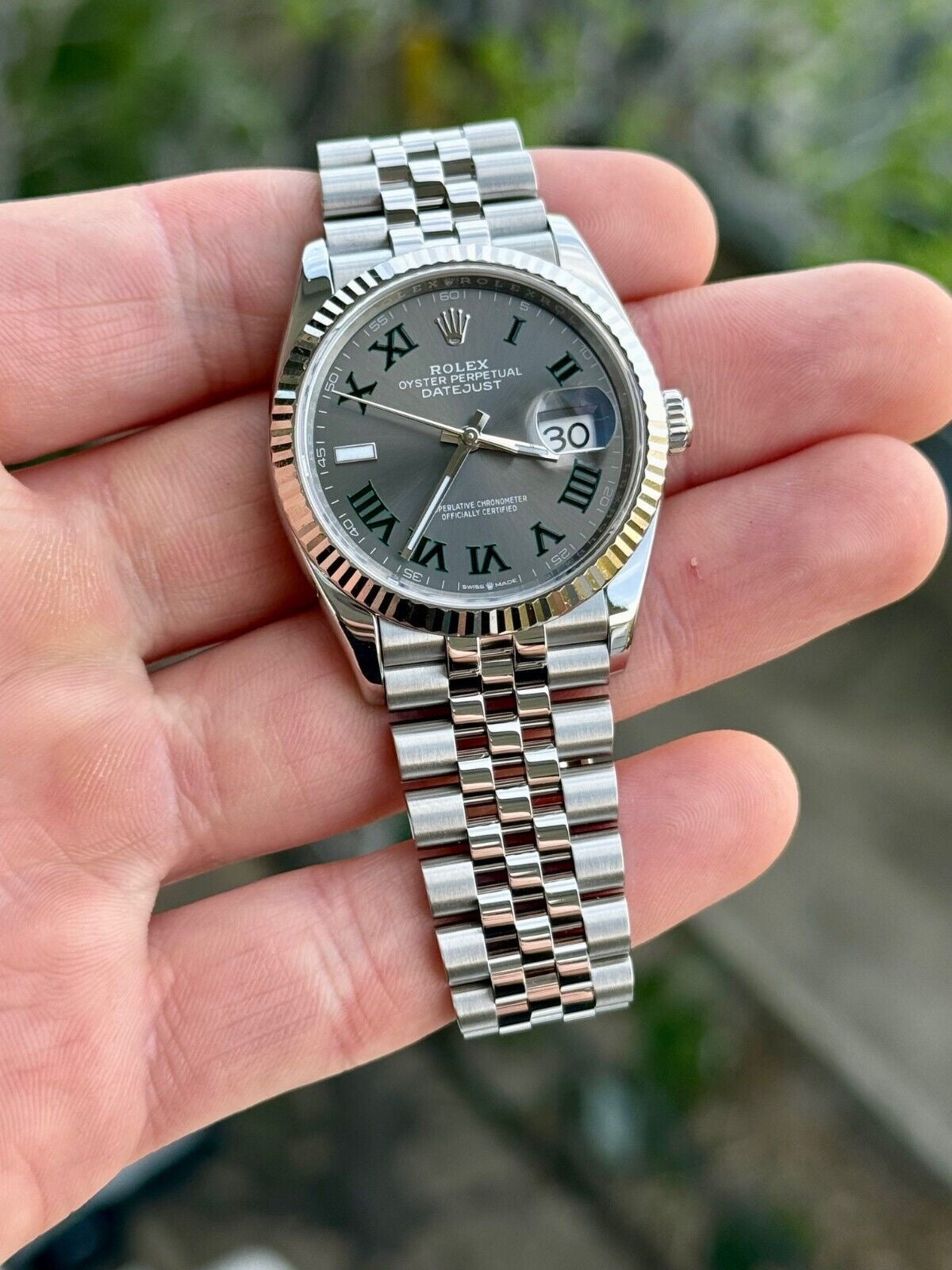 Datejust Wimbledon 36/41mm