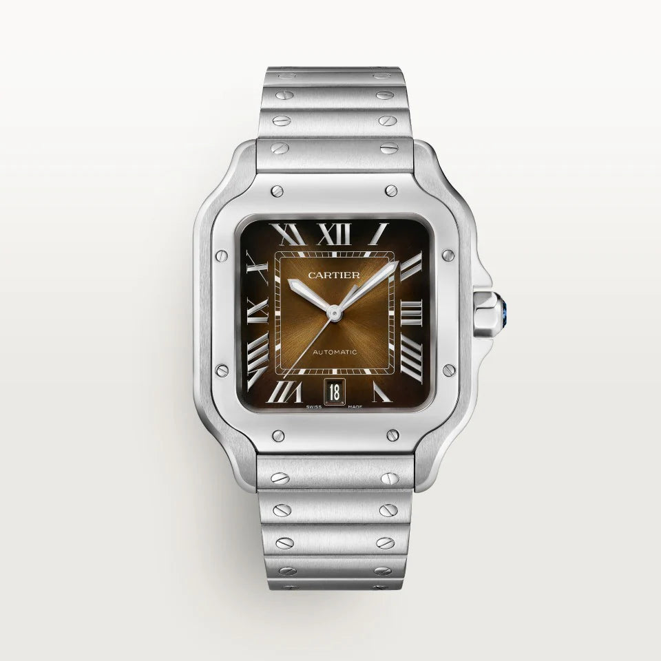 Montre Cartier Santos Pour Homme